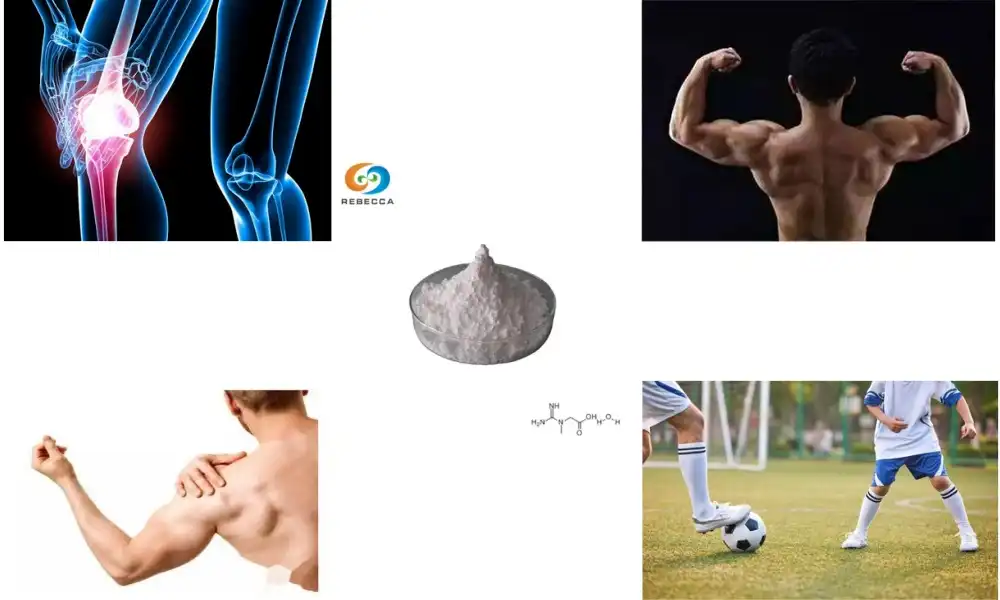 Pure Creatine Monohydrate for Sports Nutrition Formulations